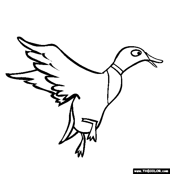 Duck Coloring Page