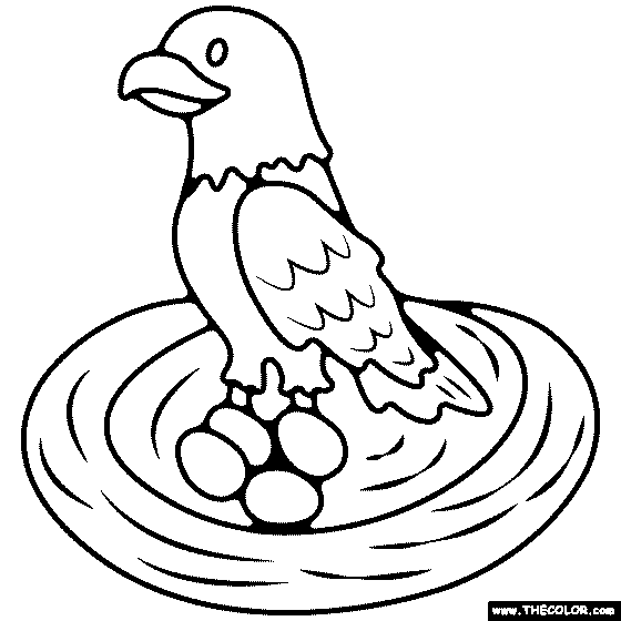 Eagle Nest Coloring Page