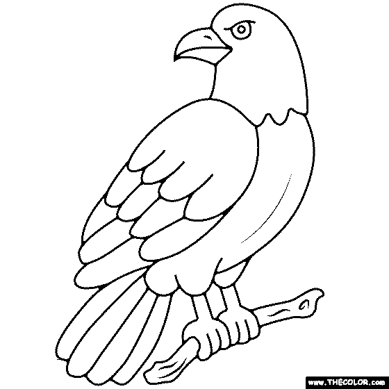 Eagle Coloring Page