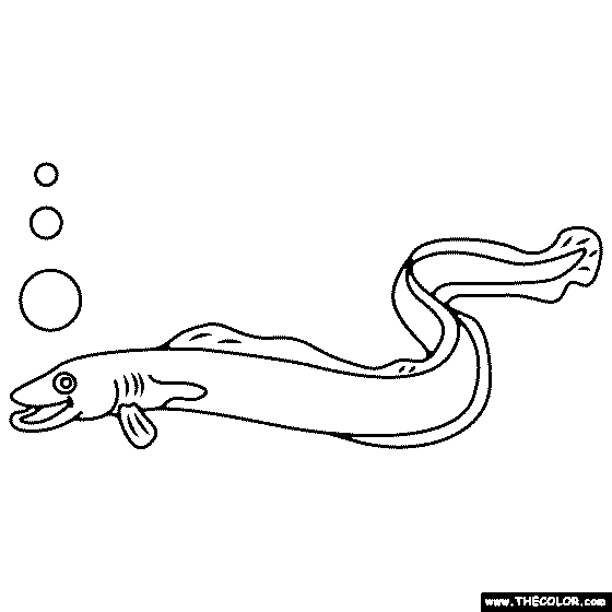 Eel Coloring Page