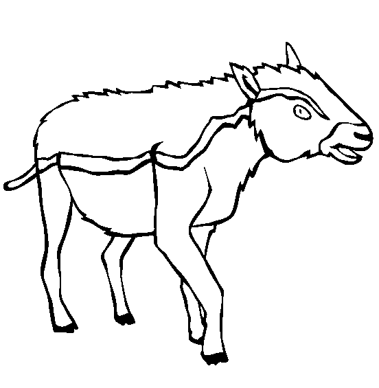 Entelodont Coloring Page