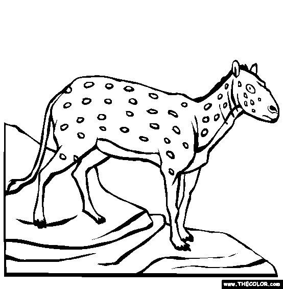 Eohippus Coloring Page | Free Eohippus Online Coloring