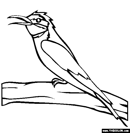 European Bee Eater Coloring Page