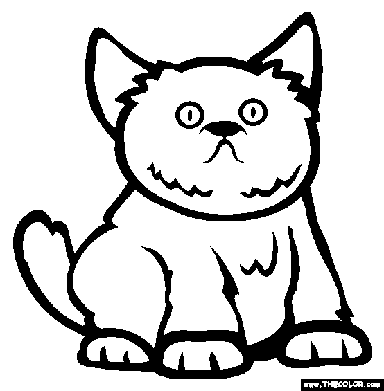 Exotic Shorthair Cat Online Coloring Page