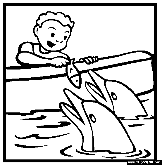 Feeding Dolphins Coloring Page