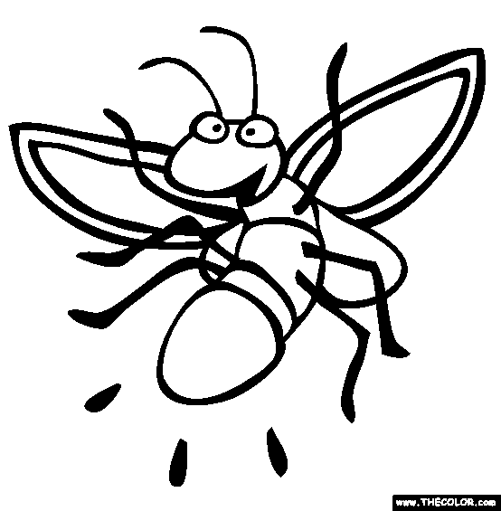 Firefly Coloring Page