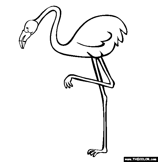 Flamingo Coloring Page