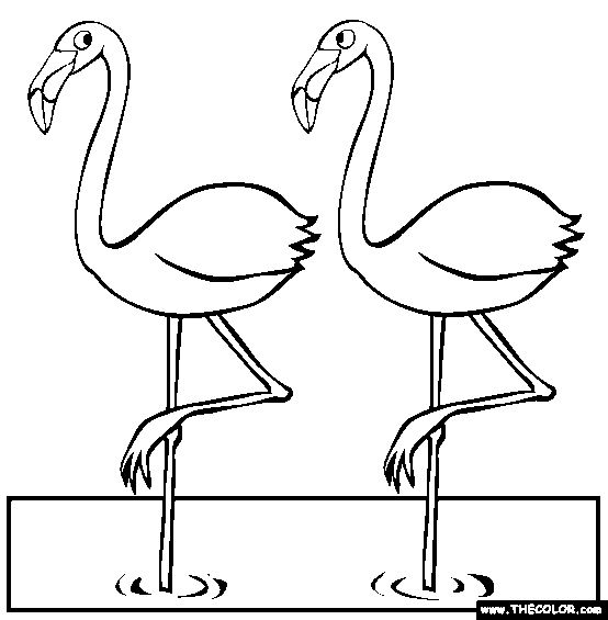 Two Flamingos Coloring Page