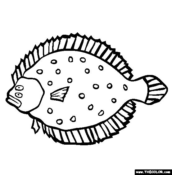 Flounder Coloring Page