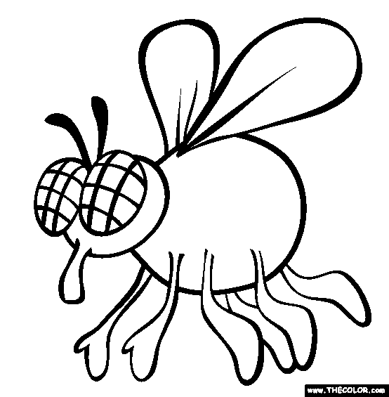 Fly Coloring Page