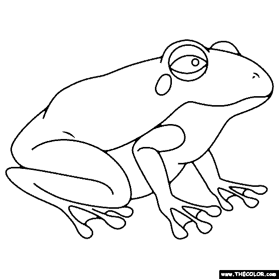 Frog Coloring Page