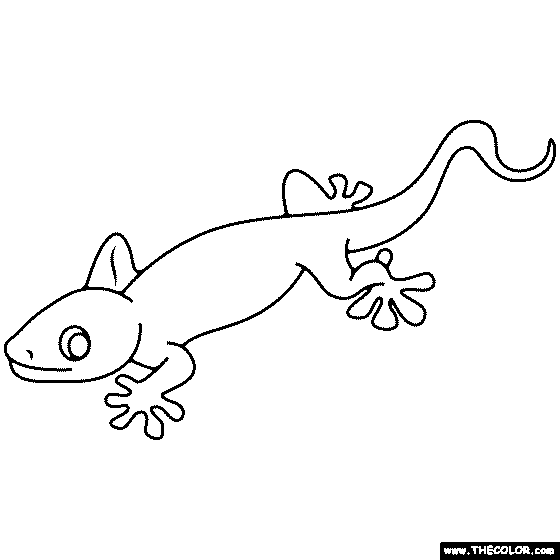 Gecko Lizard Coloring Page