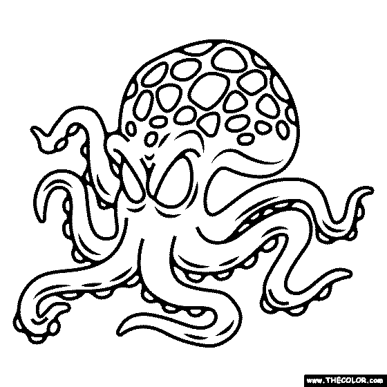 squid coloring pages