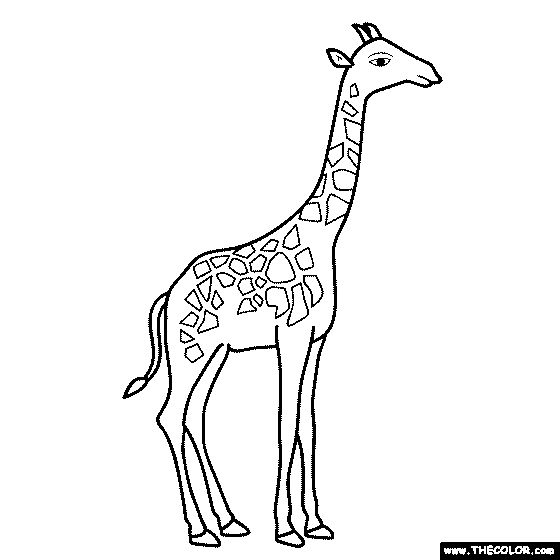 Giraffe Coloring Page