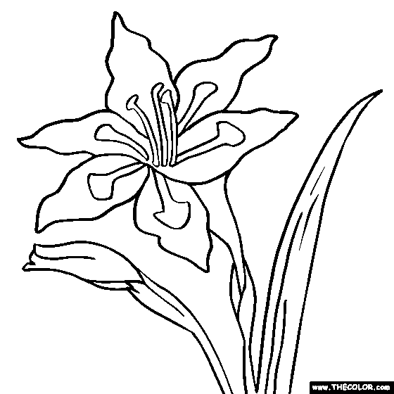Gladiolus Flower Online Coloring Page
