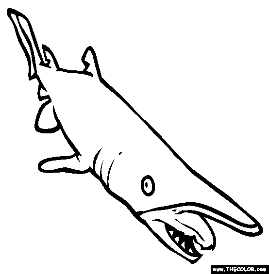 Goblin Shark Coloring Page