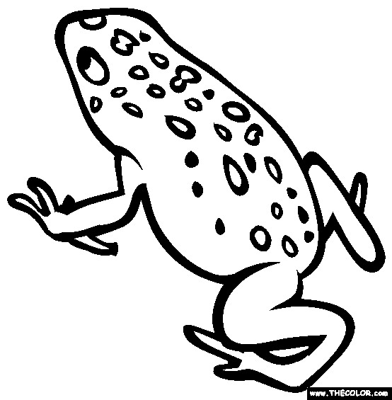 Golden Poison Frog Coloring Page