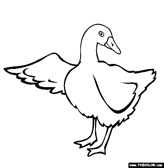 Opila Bird coloring page - Download, Print or Color Online for Free