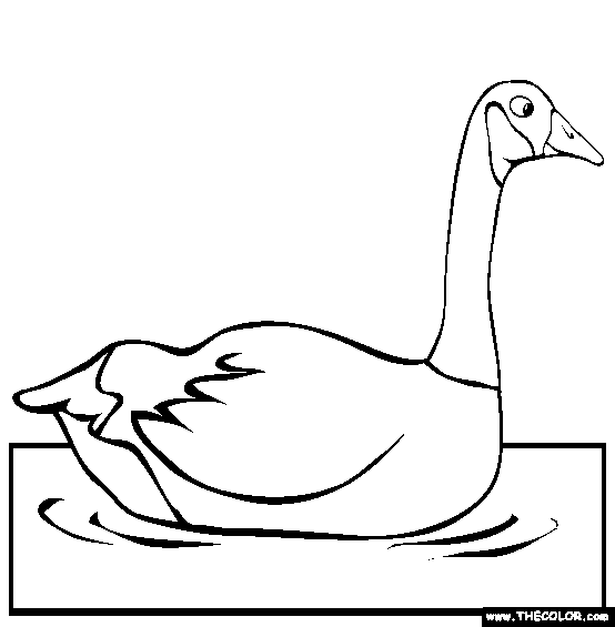 Goose Swimming Coloring Page