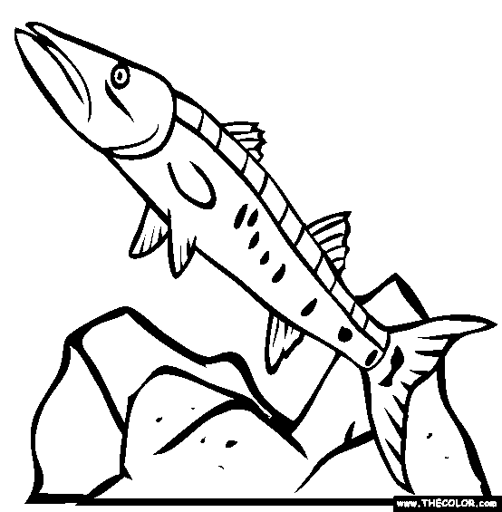 Great Barracuda Coloring Page