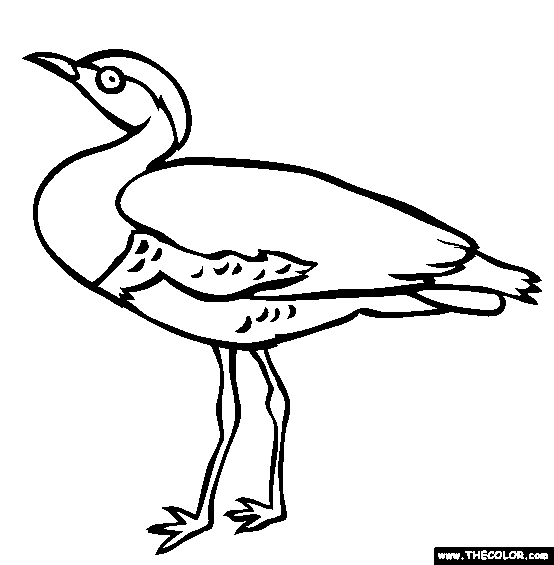 Great Indian Buzzard Coloring Page