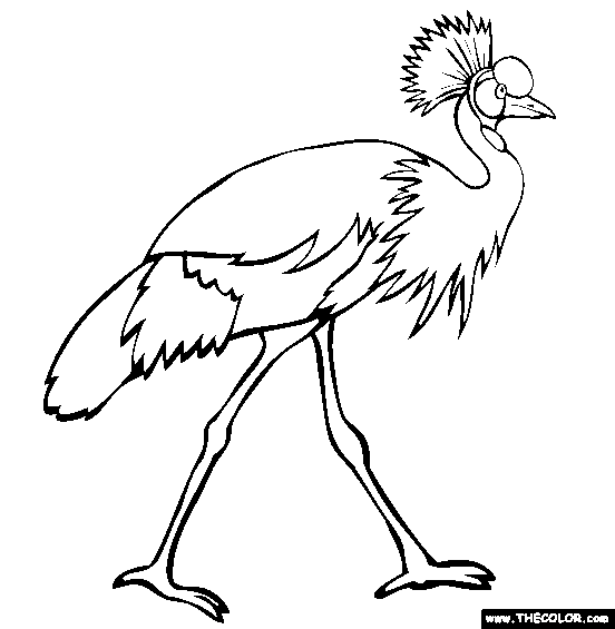 Grey Crowned Crane Coloring Page