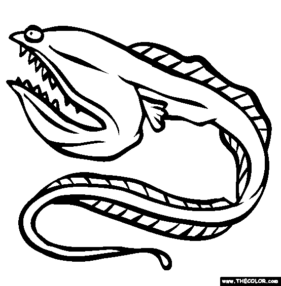 Gulper Eel Coloring Page