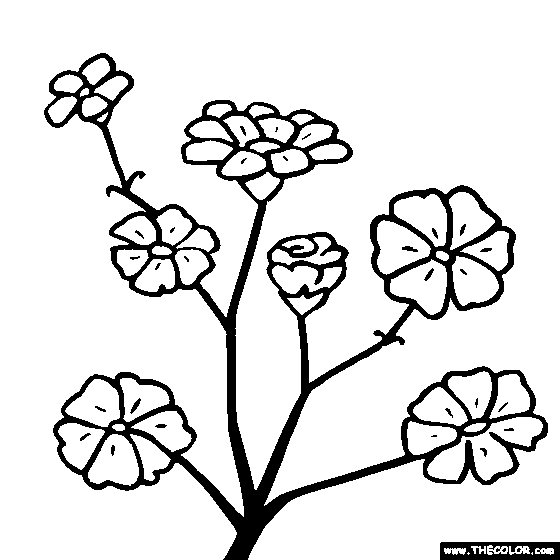 Snehacoloursoft - Sweet pea sketch for the day... #sweetpea  #sweetpeaflowers #floralclipart #floralcomposition #ipadart #lineart  #linocut #linocutinspiration #floraltheme #sweetpeaflowers #sketchbook  #sketchbookartist #dailysketches #floralsketch ...