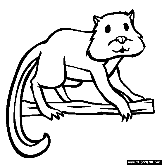 Hamster Lemur Coloring Page
