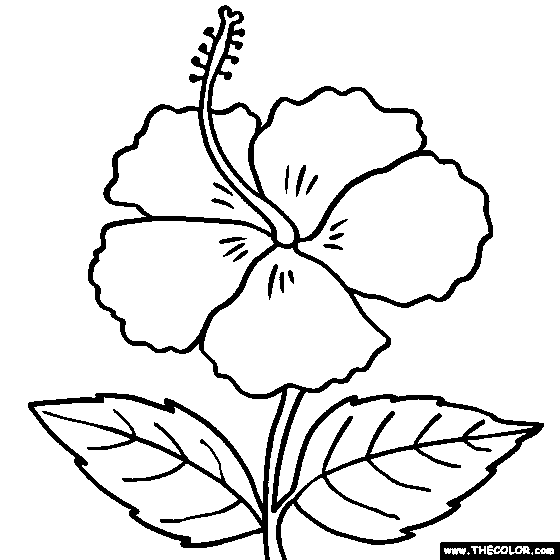 Spring Online Coloring Pages TheColor com