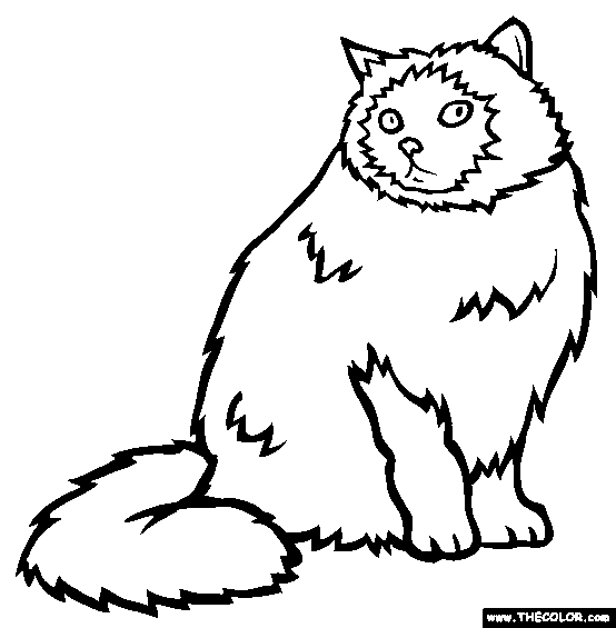 7800 Domestic Cats Coloring Pages , Free HD Download