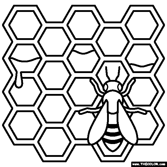 Honey Comb Coloring Page