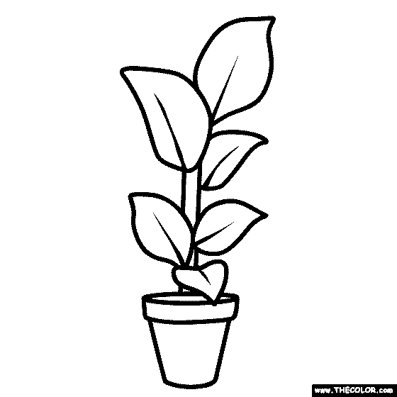 Houseplant Coloring Page