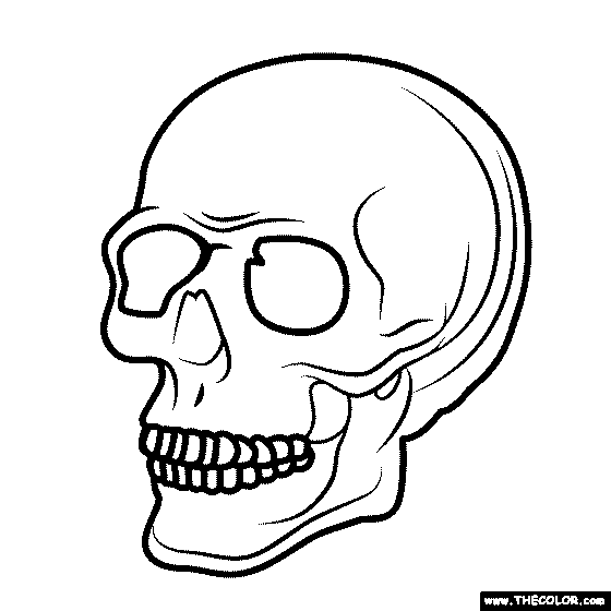 Human Skull Coloring Page