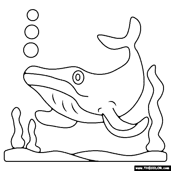 Humpback Whale Coloring Page