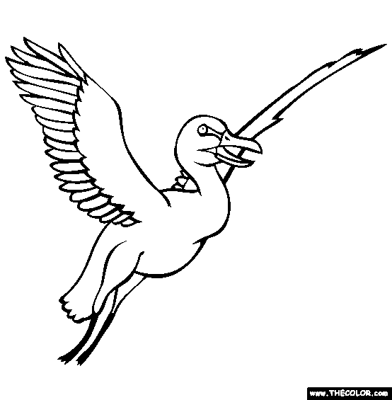 Ichthyornis Coloring Page