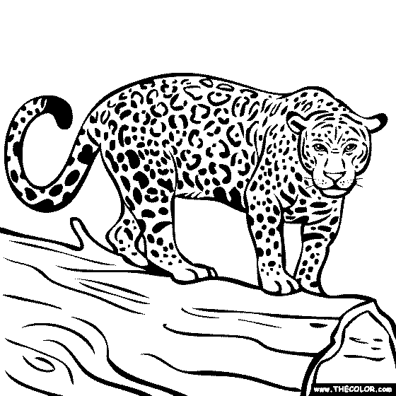 97 Top Coloring Pages Jaguar  Images