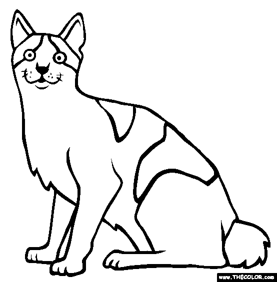 Japanese Bobtail Cat Online Coloring Page