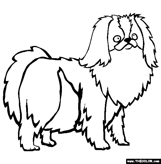 Japanese Chin Coloring Page