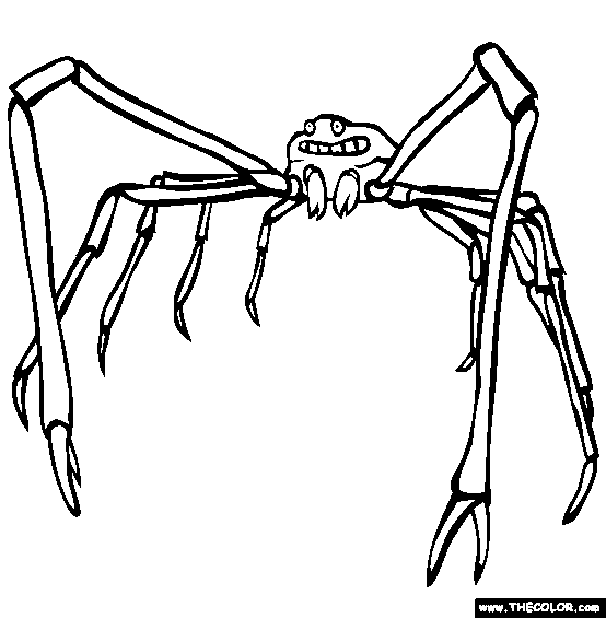 Japanese Spider Crab Coloring Page