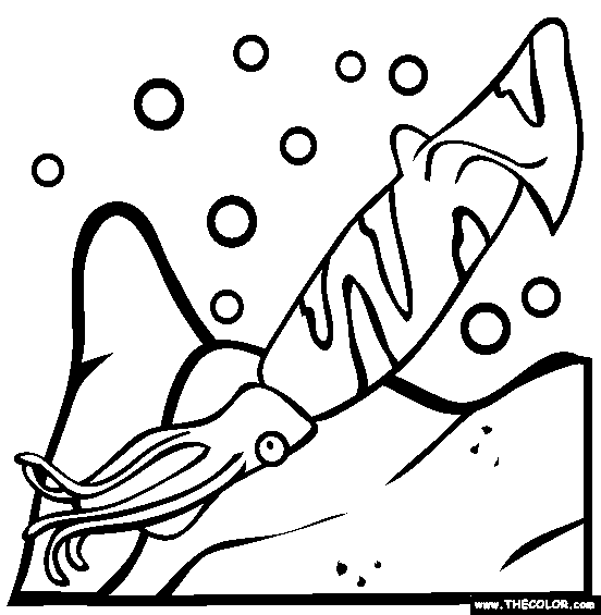 Jumbo Squid Coloring Page