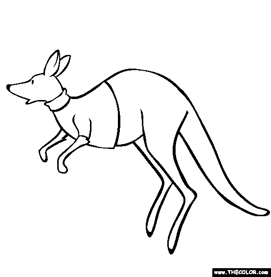 Kangaroo Coloring Page