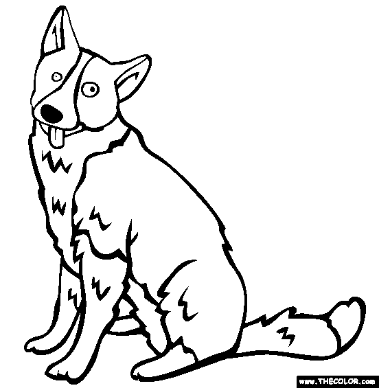 Karelian Bear Dog Coloring Page