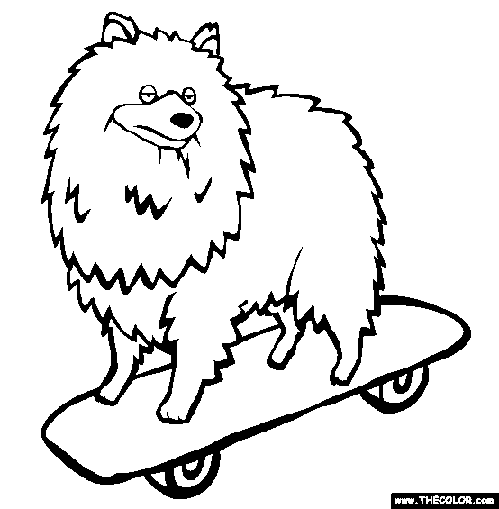 Keeshonden Coloring Page