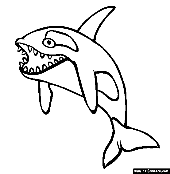 Killerwhale Coloring Page