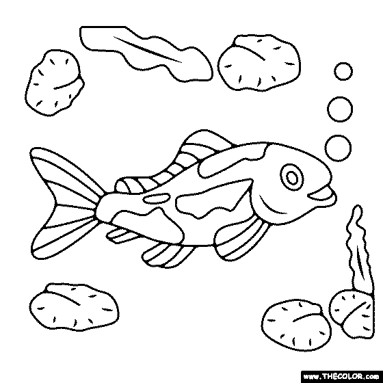 Koi Fish Coloring Page