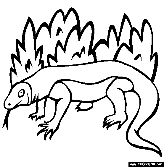 Komodo Dragon Coloring Page