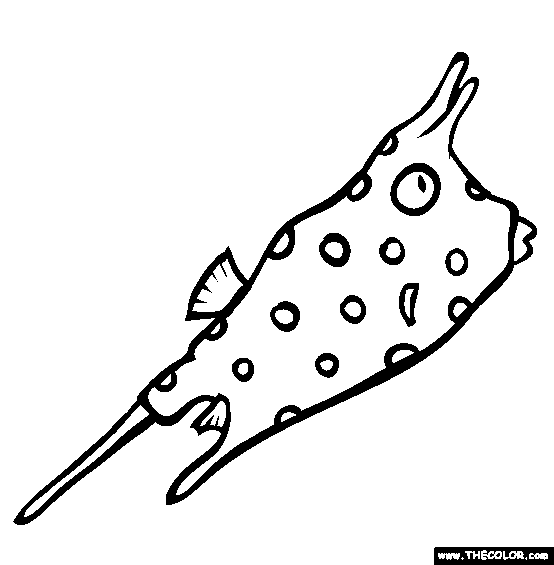 Longhorn Cowfish Coloring Page