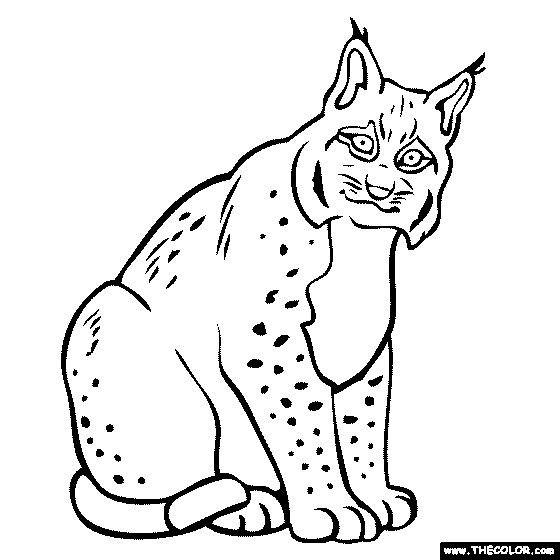 Jungle Animals Online Coloring Pages