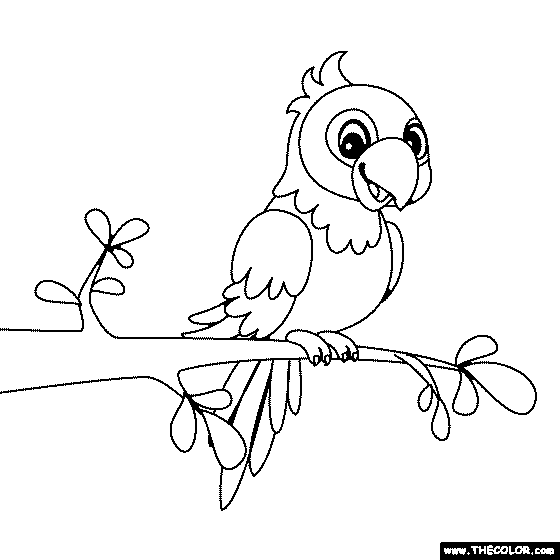 Macaw Coloring Page